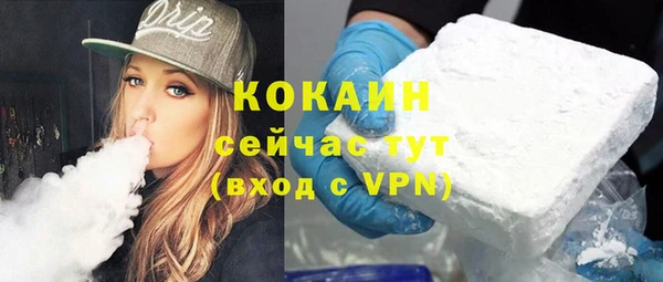 прущие грибы Богданович