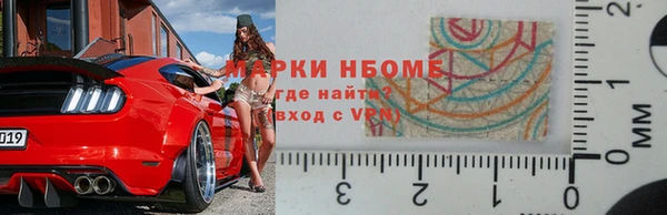 прущие грибы Богданович