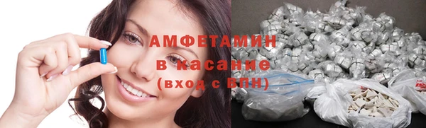 прущие грибы Богданович