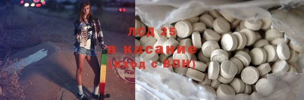 прущие грибы Богданович