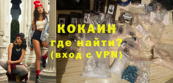 прущие грибы Богданович