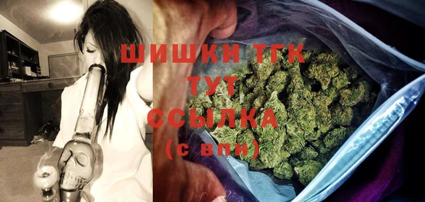 прущие грибы Богданович
