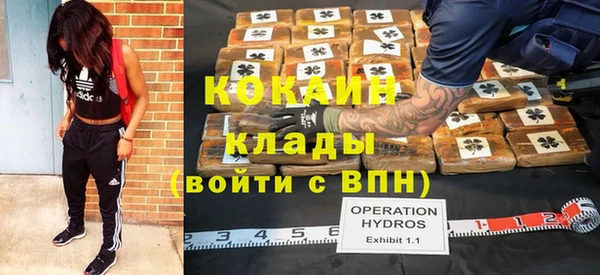 прущие грибы Богданович