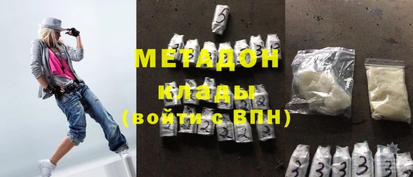 прущие грибы Богданович