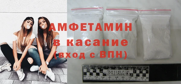 прущие грибы Богданович