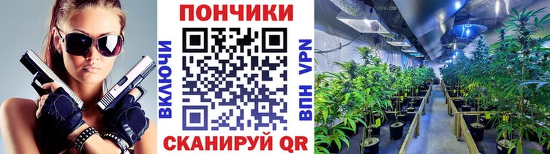 как найти закладки  Юхнов  Бошки Шишки SATIVA & INDICA 